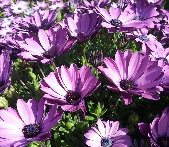 Nocleg ze śniadaniem Raggio Di Sole Fluminimaggiore