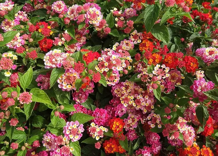 Raggio Di Sole Bed & Breakfast